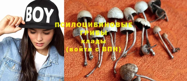 героин Алзамай