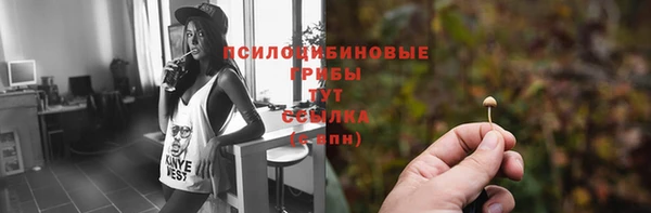 спиды Алексин