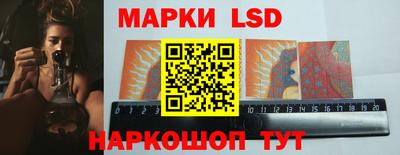 тгк Камышлов