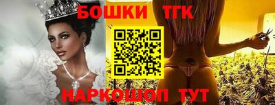 тгк Камышлов