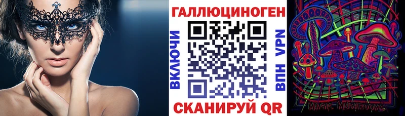 Псилоцибиновые грибы Psilocybe Керчь