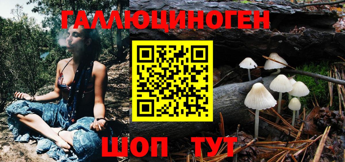 Керчь  Галлюциногенные грибы Cubensis  Вход с VPN  закладка  Псилоцибиновые грибы MAGIC MUSHROOMS 